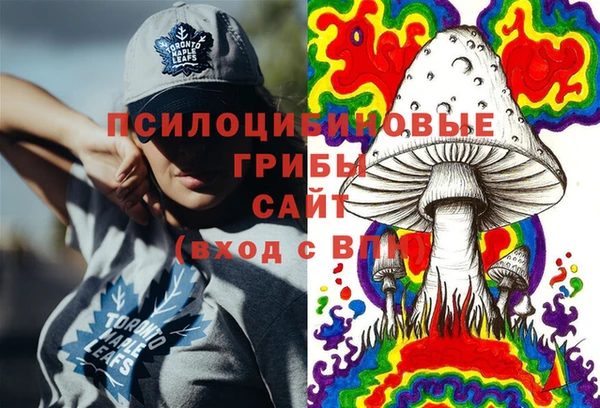 прущие грибы Арсеньев