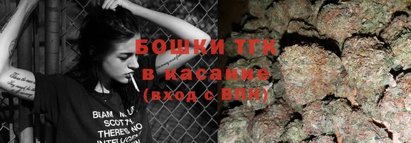 прущие грибы Арсеньев